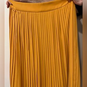 J. Crew Pleated Skirt with Tags